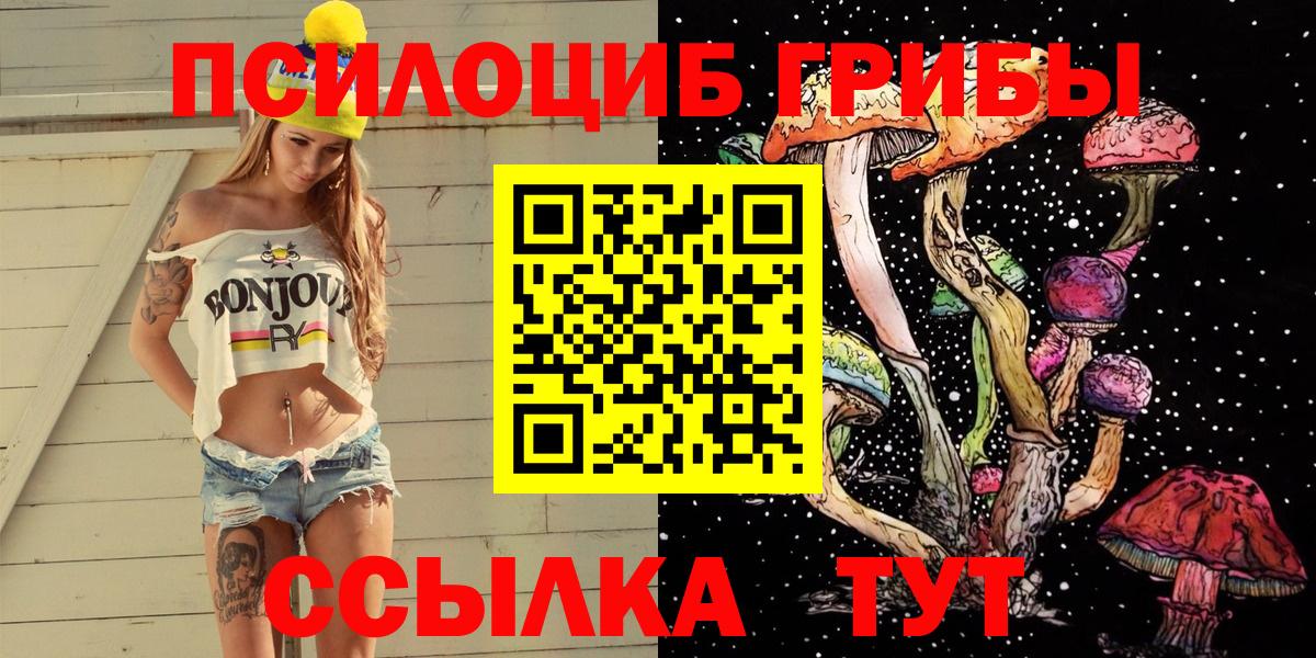 Псилоцибиновые грибы Magic Shrooms  Вход с VPN  Волгодонск  Галлюциногенные грибы MAGIC MUSHROOMS 