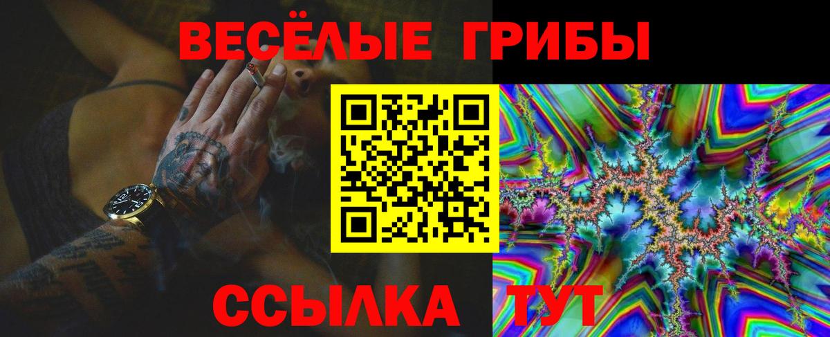 Псилоцибиновые грибы мухоморы Волгодонск